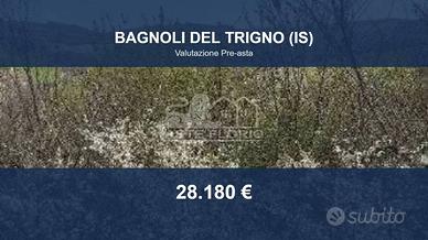 Immobile in asta di 29832 m² a Bagnoli del Trigno