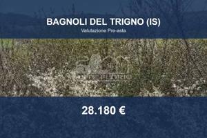 Immobile in asta di 29832 m² a Bagnoli del Trigno