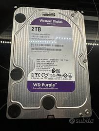 WD 2tb Purple hard disk per video sorveglianza