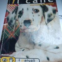 Lucilla Viviano - il cane, 2 titoli