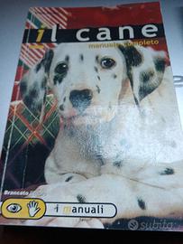 Lucilla Viviano - il cane, 2 titoli