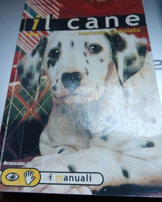 Lucilla Viviano - il cane, 2 titoli