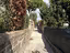 Immagine 16