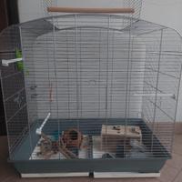 Gabbia voliera volatili cocorite 
