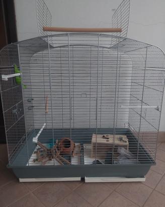 Gabbia voliera volatili cocorite 