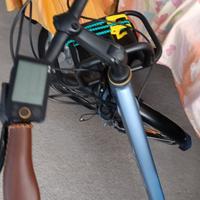 BICICLETTA ELETTRICA 