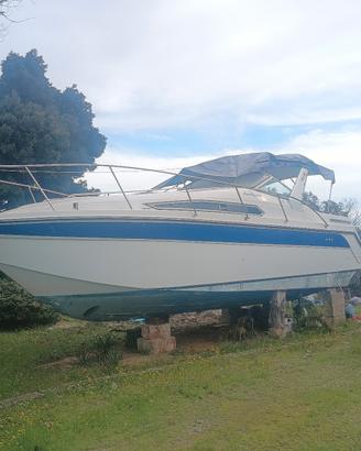 Barca americana Thompson Santa Cruz 31 cruiser 