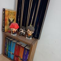 collezione completa Harry Potter, e bacchette 