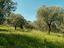 Immagine 20