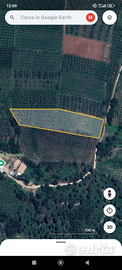 Terreno agricolo