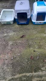 Lettiere e trasportino