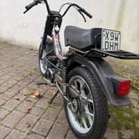 Califfone rizzato 4m