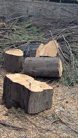 legno