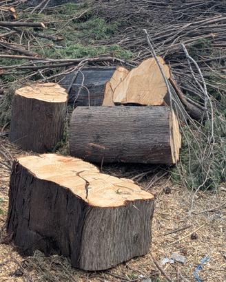 legno