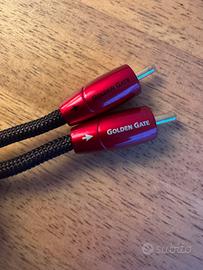 Cavo audioQuest 1mt golden gate