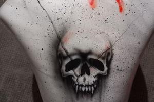 Serbatoio kawasaki er6n 2015