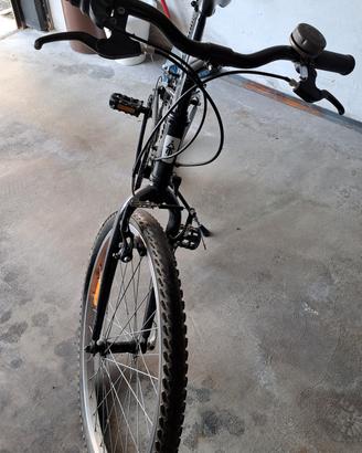montainbike raggio 24