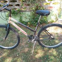 Bicicletta Mountain bike 