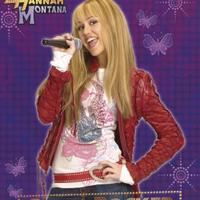 Poster Hannah Montana Glam Rocker Pyramid FP2054