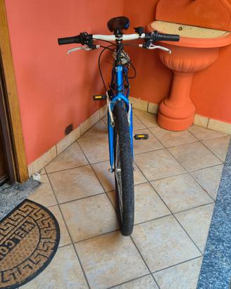 Mountain bike