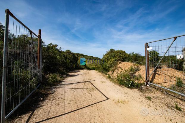 Terreno agricolo a soli 7 km da Palau