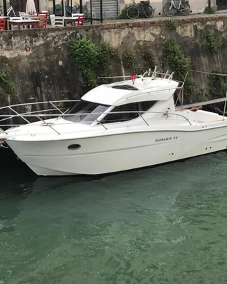 Sessa dorado 26 2008