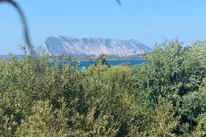LAST MINUTE 22/5 SETTEMBRE San Teodoro