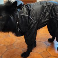 Impermeabile per cani