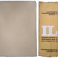 Vocabolario IL Castiglioni-Mariotti latino/italian