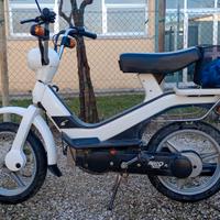 Piaggio Grillo