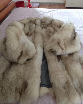 Pelliccia volpe della Groenlandia