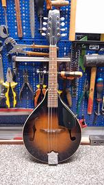 Mandolino Kentucky KM140