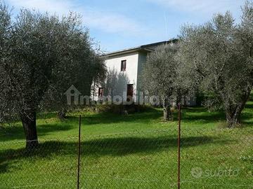 Rustico 140 mq su terreno di 3800 mq con ulivi