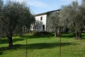 Rustico 140 mq su terreno di 3800 mq con ulivi