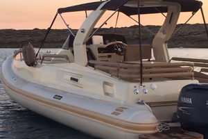 Solemar 32 N&D con Yamaha 2x250