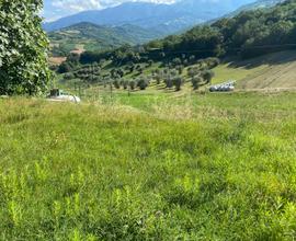 Terreno agricolo e in parte edificabile