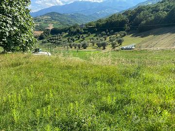 Terreno agricolo e in parte edificabile