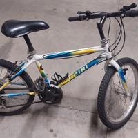 Bicicletta 20"