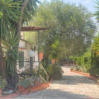 Pasqua a Marina di Camerota