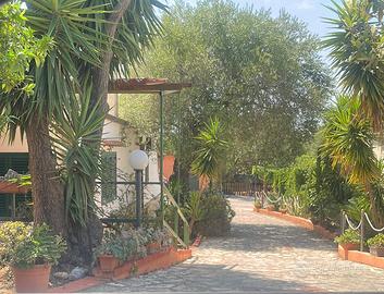 Pasqua a Marina di Camerota