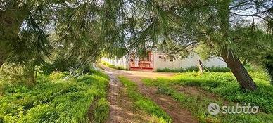 Casa ind. con giardino a 5 minuti dal centro