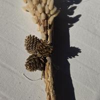Mazzo decorativo con pigne e “Lagurus ovatus”