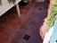 Immagine 27