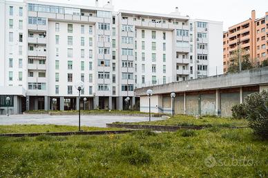 Bilocale ultimo piano con terrazzo abitabile