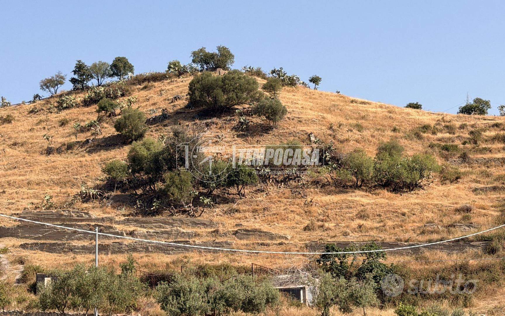 TERRENO AGRICOLO SCOSCESO A ROCCALUMERA - Vista 2