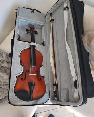 violino 