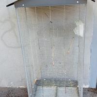 Voliera canarini e pappagalli