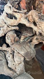 Radice decorativa