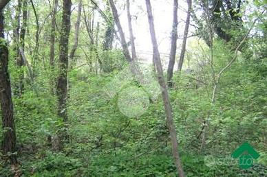 TER. AGRICOLO A TEOLO