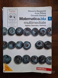 In omaggio matematica.blu multimediale